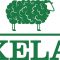 logo-texelana